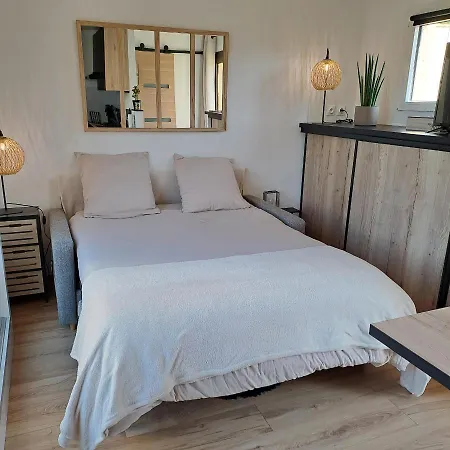 Appartement Climatise Cosy Avec Grande Piscine Chauffee Agde
