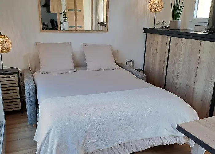 Appartement Climatisé Cosy Avec Grande Piscine Chauffée Agde